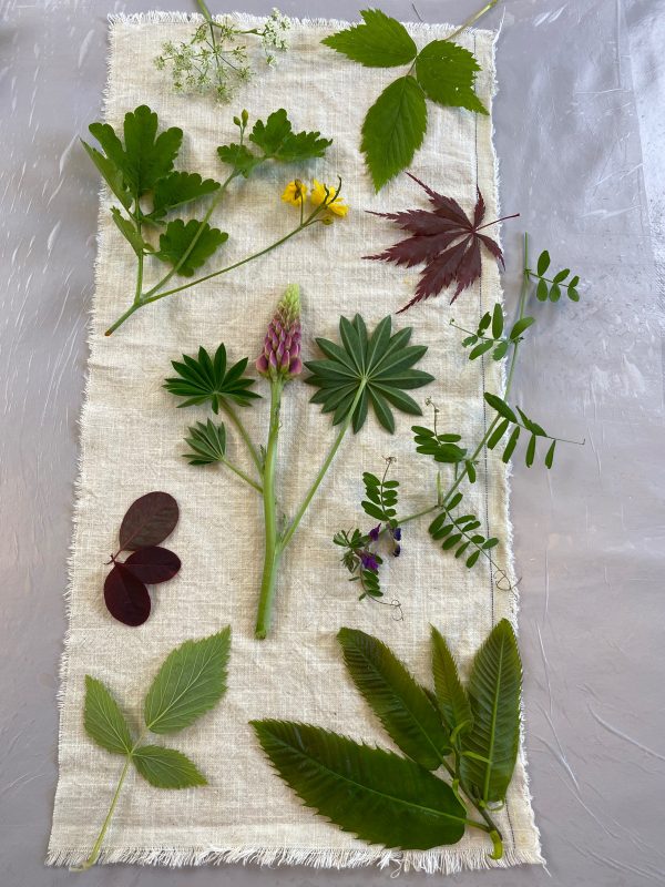 workshop I botanisk print