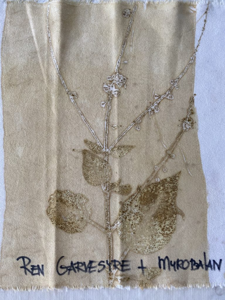 Ren garvesyre & myrobalan