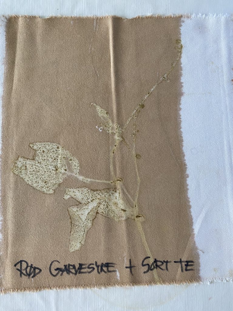 Rød garvesyre & sort te