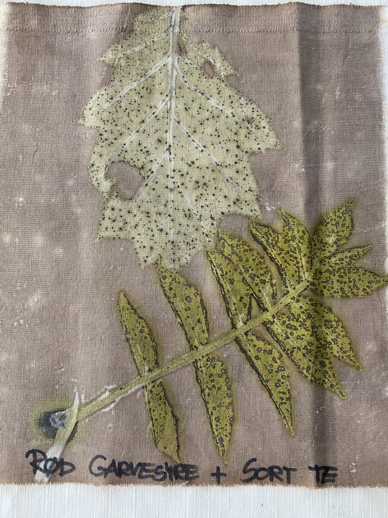 Rød garvesyre & sort te