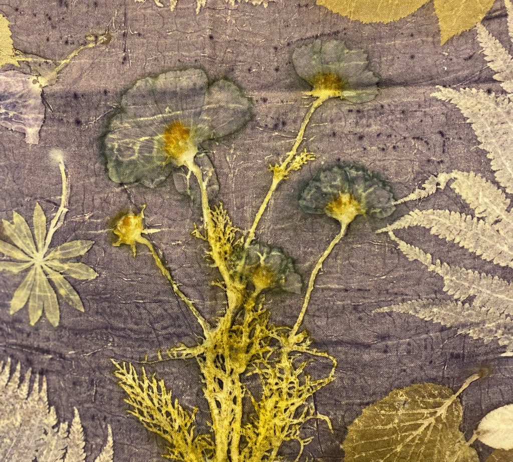 3 dages Kursus i botanisk print -bejdsekartotek