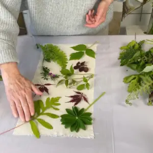 Botanisk Print - Kom godt i gang